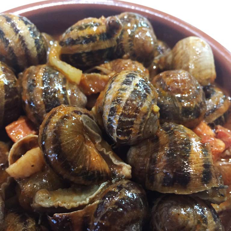 Caracoles picantes con tomate Caracoles picantes con tomate